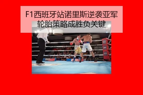 F1西班牙站诺里斯逆袭亚军 轮胎策略成胜负关键