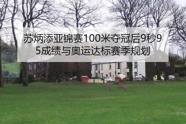 苏炳添亚锦赛100米夺冠后9秒95成绩与奥运达标赛季规划