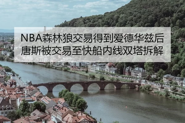 sen-lin-lang-jiao-yi-de-dao-ai-de-hua-zi-hou-tang-si-bei-jiao-yi-zhi-kuai-chuan-nei-xian-shuang-ta-chai-jie-2-222.jpg